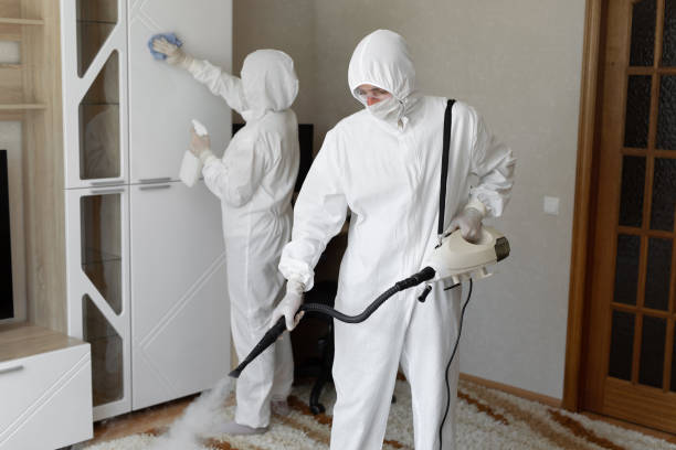 24/7 Emergency Odor Removal experts in Denville, NJ